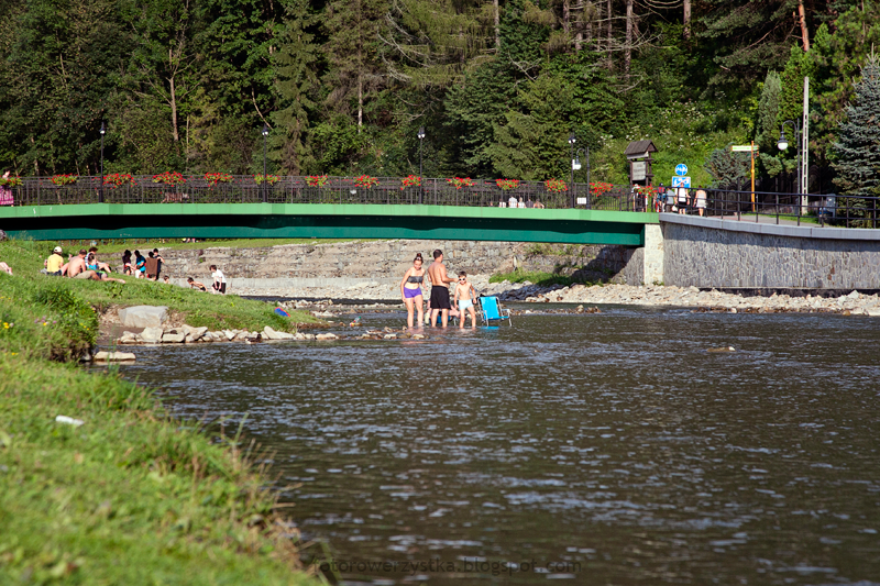 imagesdb_img1304-160423-0